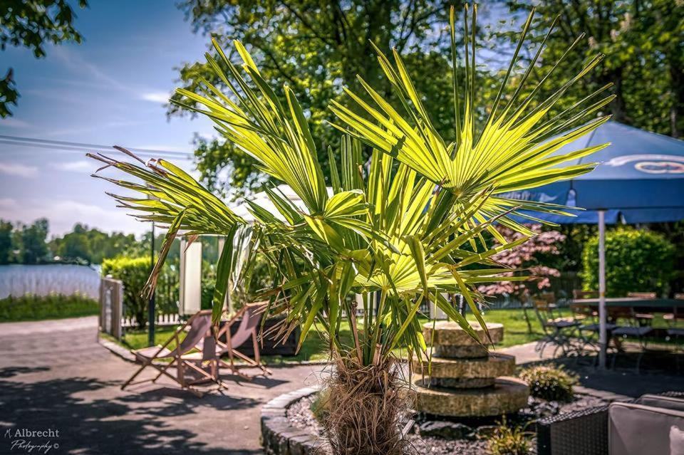Sopherl Am See - Fruehstueck Auf Der Seeterrasse, Sehr Ruhig Und Wunderschoen Am See, 3 Minuten Nach Oberpfaffenhofen, Viele Radtouren, Restaurants & Cafes In Der Umgebung Wessling Exterior photo